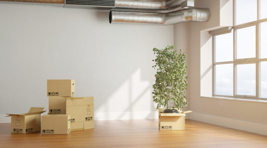 How To Plan And Organize Your Business Office Move