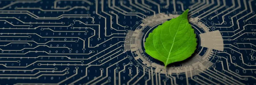 Green leaf on the converging point of computer circuit board-managed service provider​