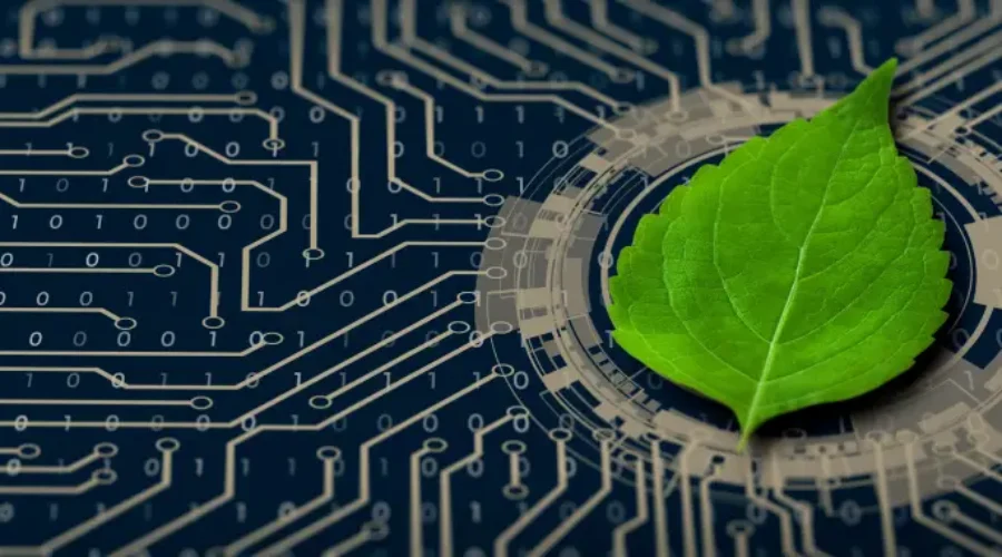 Green leaf on the converging point of computer circuit board-managed service provider​